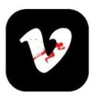 LOGO VIDEORUN